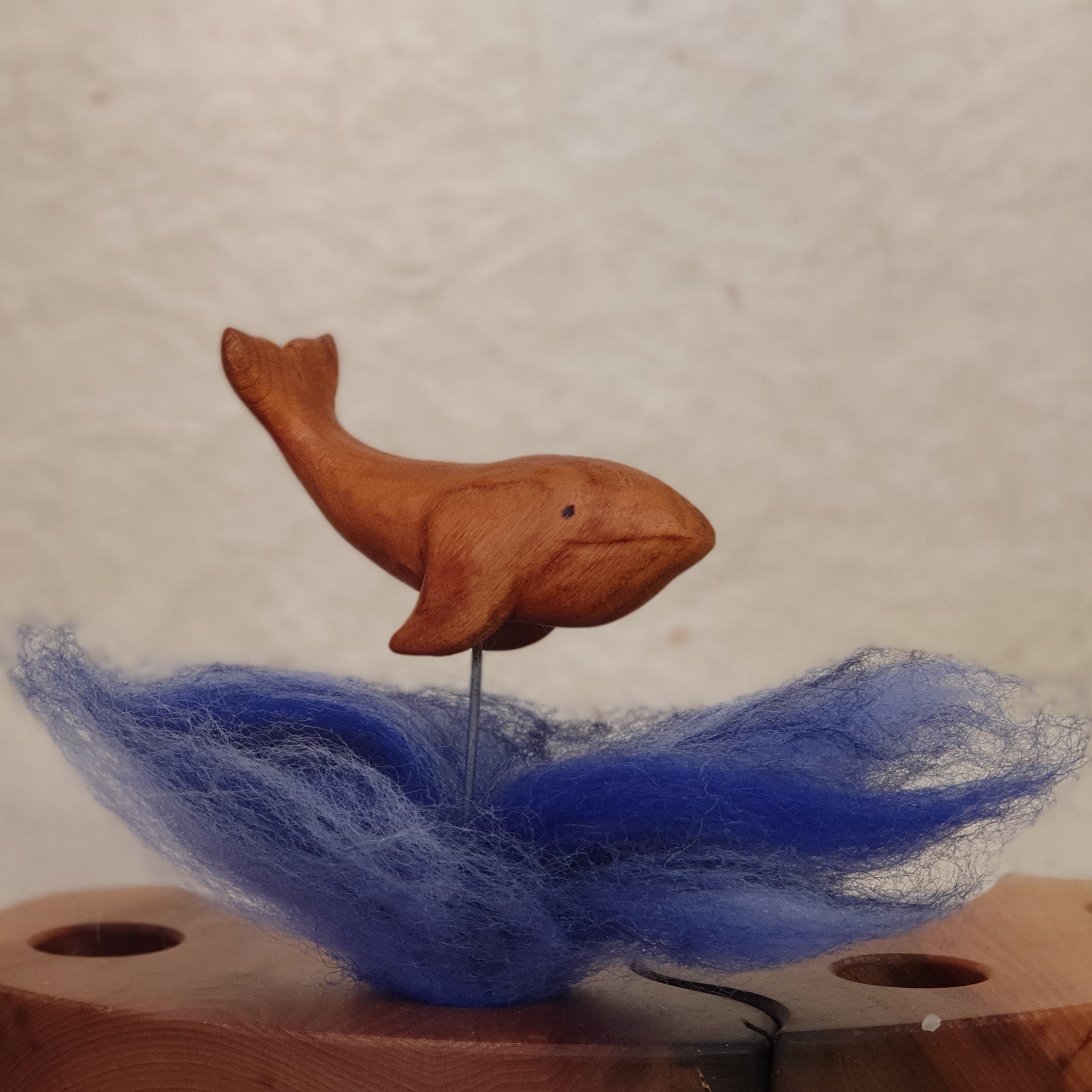 Meerestiere und Pflanzen