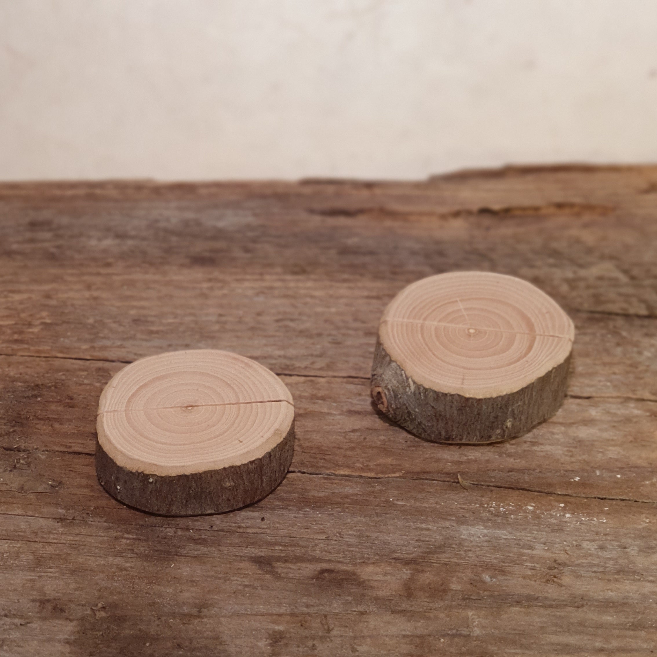 Mini Kartenhalter Baumscheibe