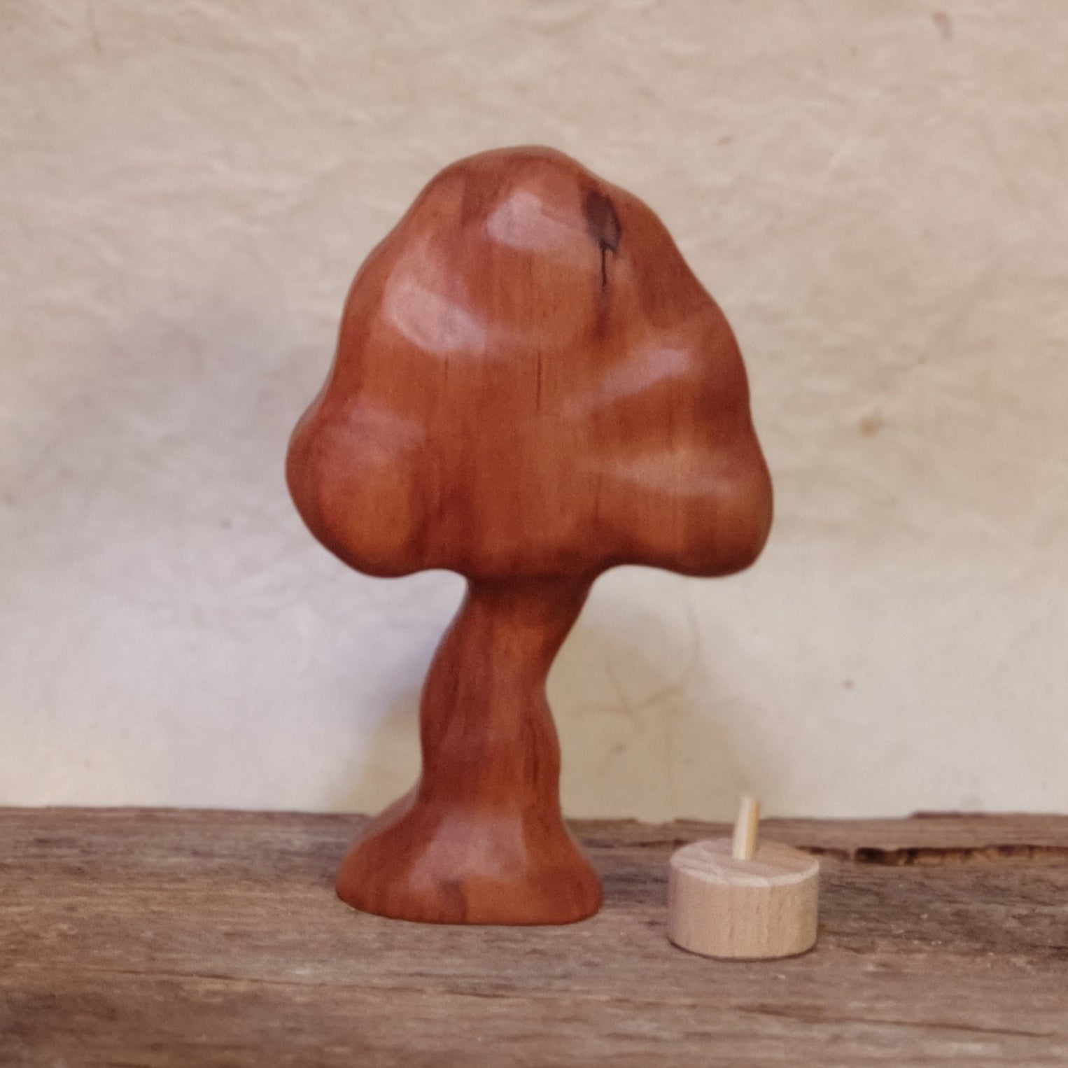 Bäume und Tannen geölt