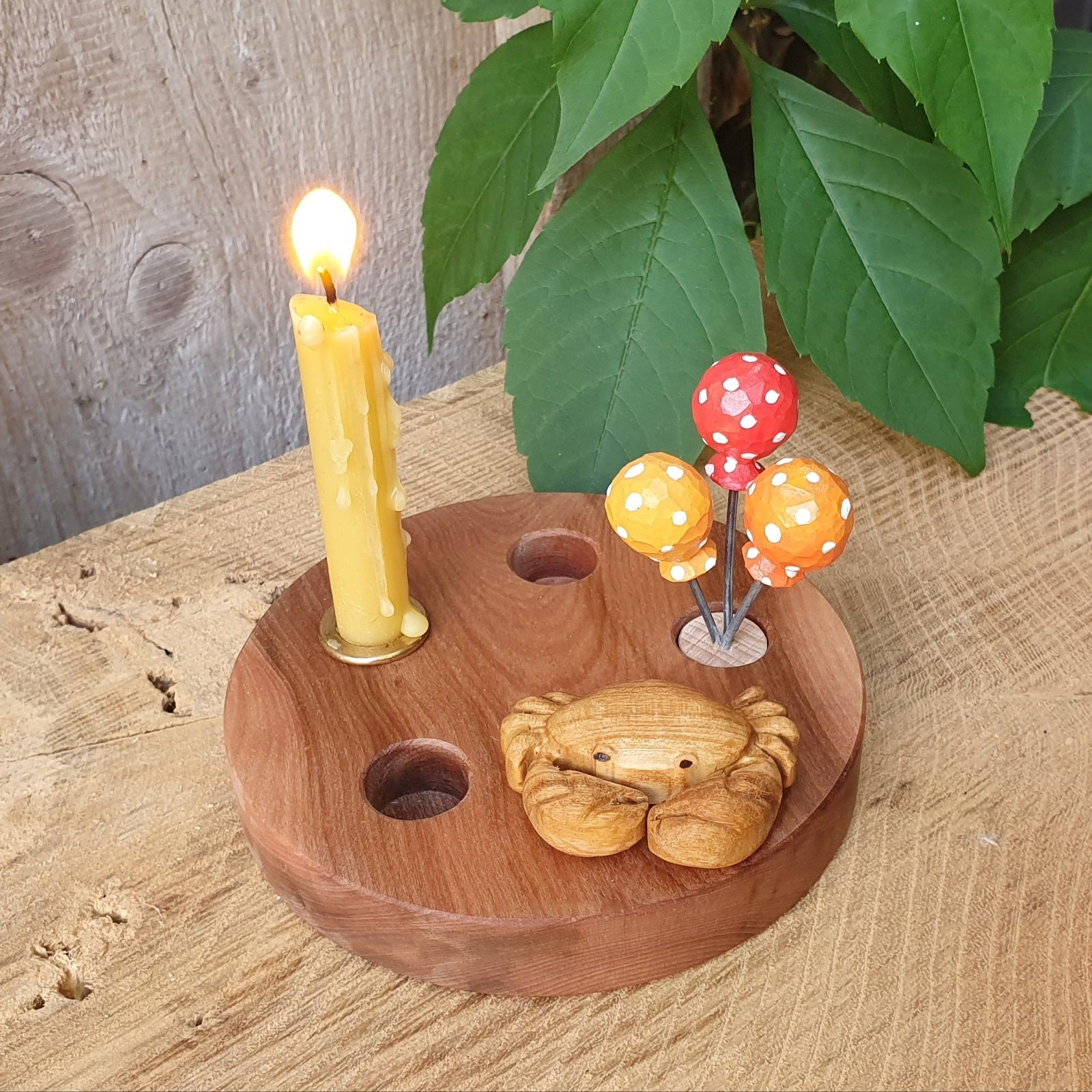 Meerestiere und Pflanzen