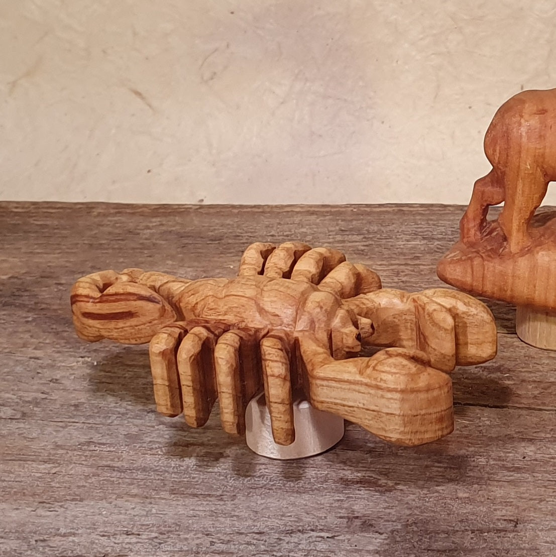 Meerestiere und Pflanzen