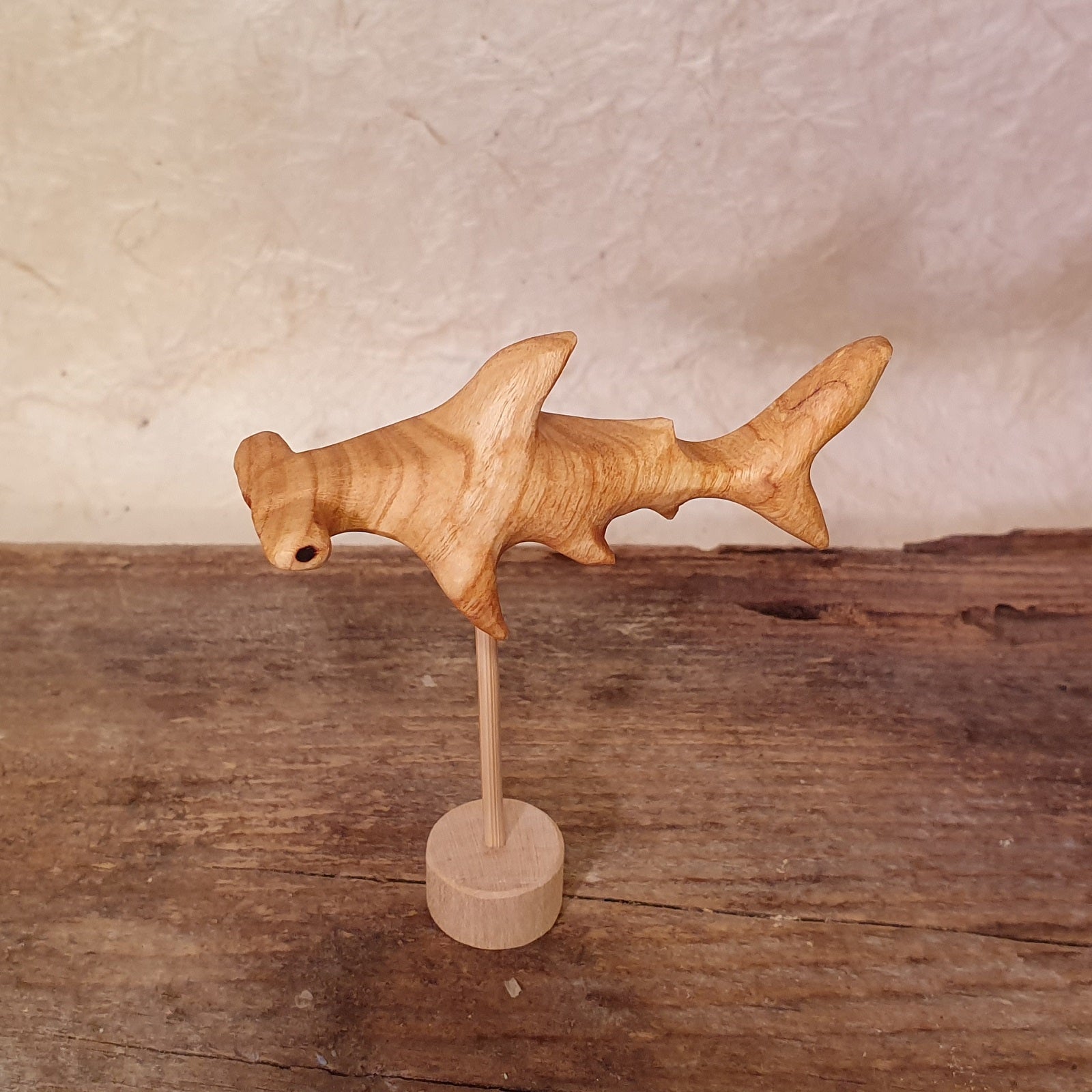 Meerestiere und Pflanzen