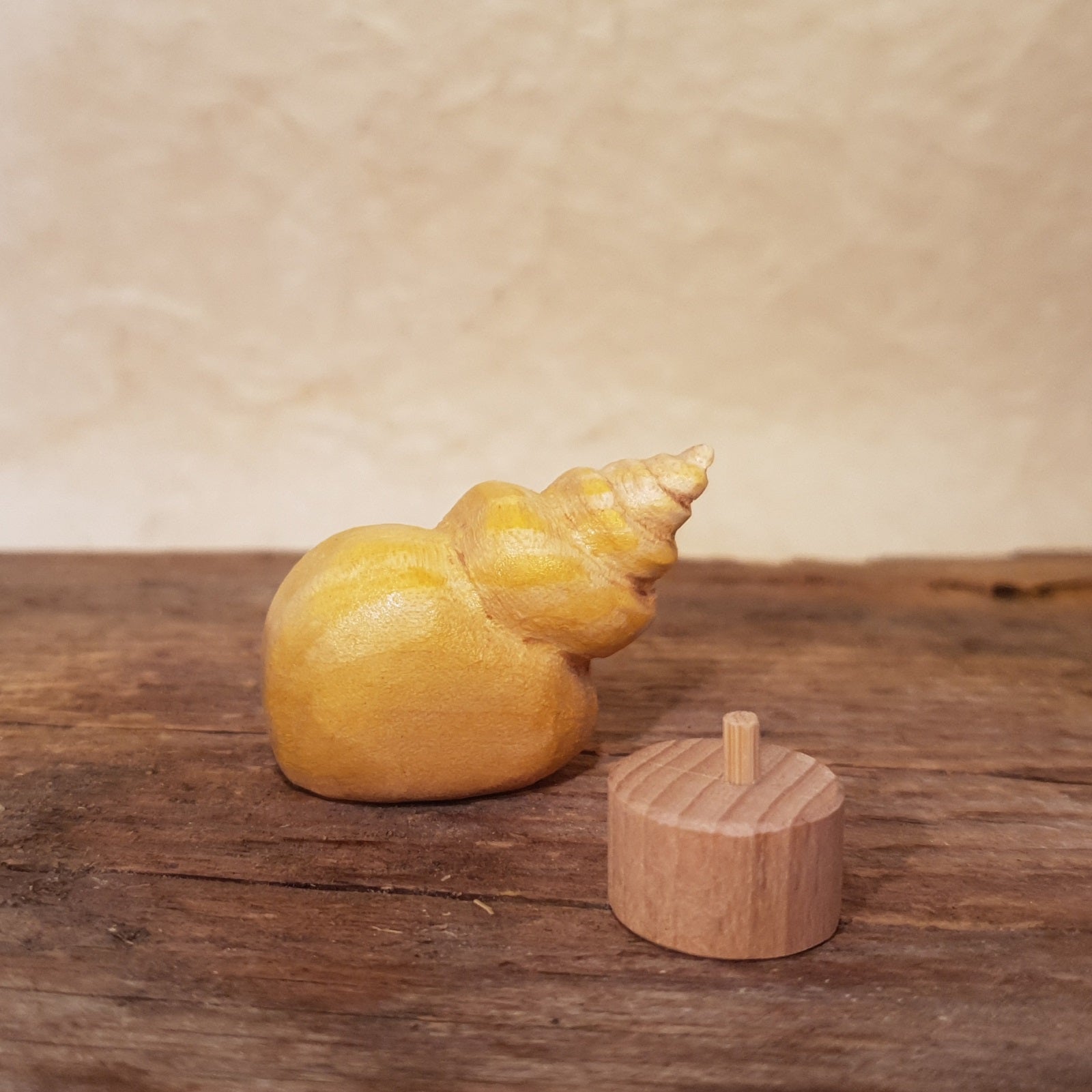 Meerestiere und Pflanzen