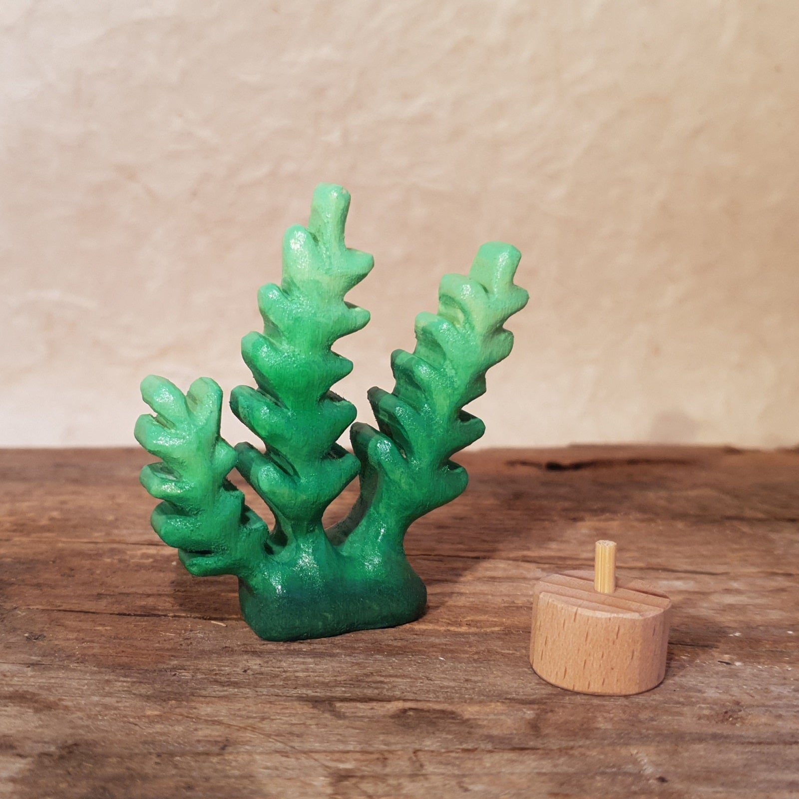 Meerestiere und Pflanzen