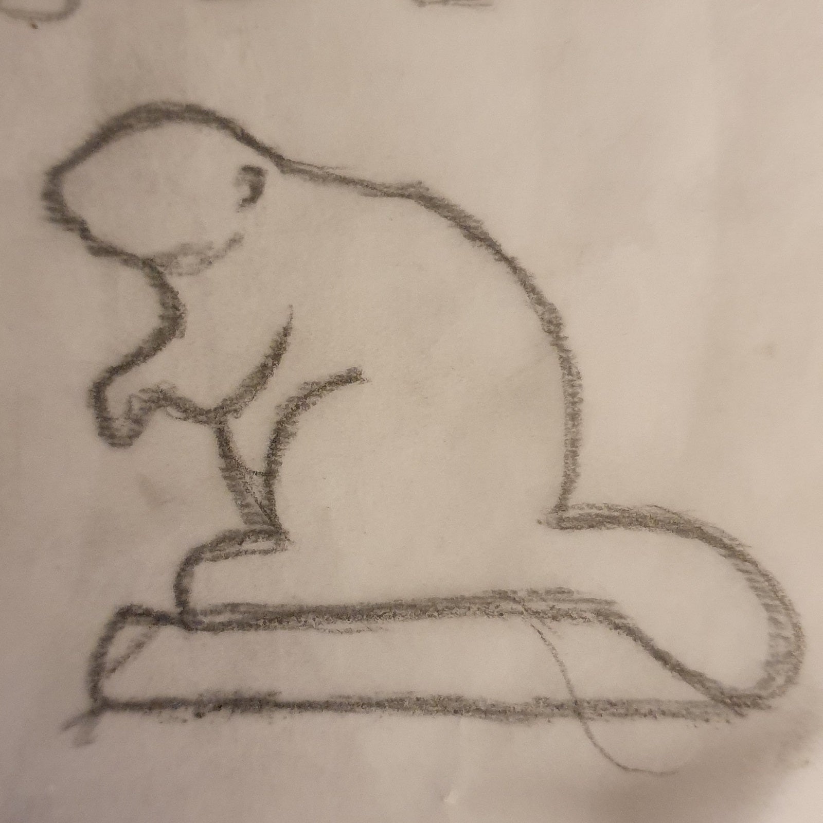 Fischotter geölt, teilweise bemalt