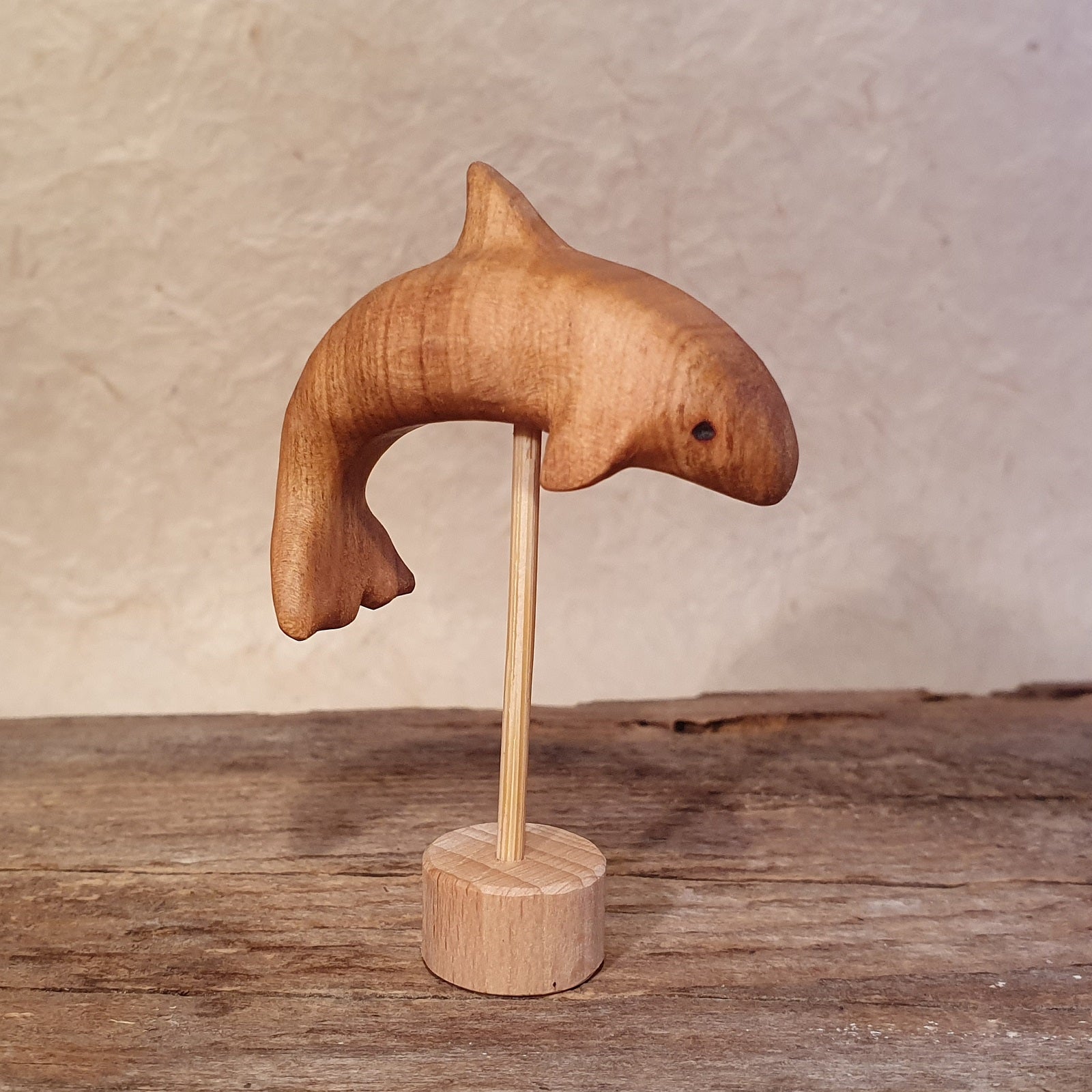 Meerestiere und Pflanzen