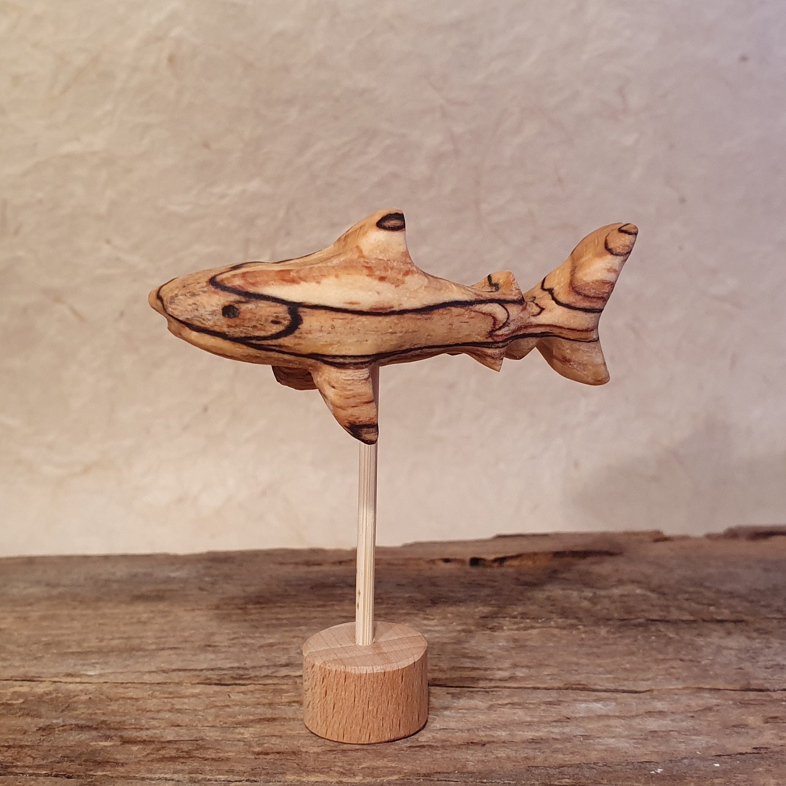 Meerestiere und Pflanzen