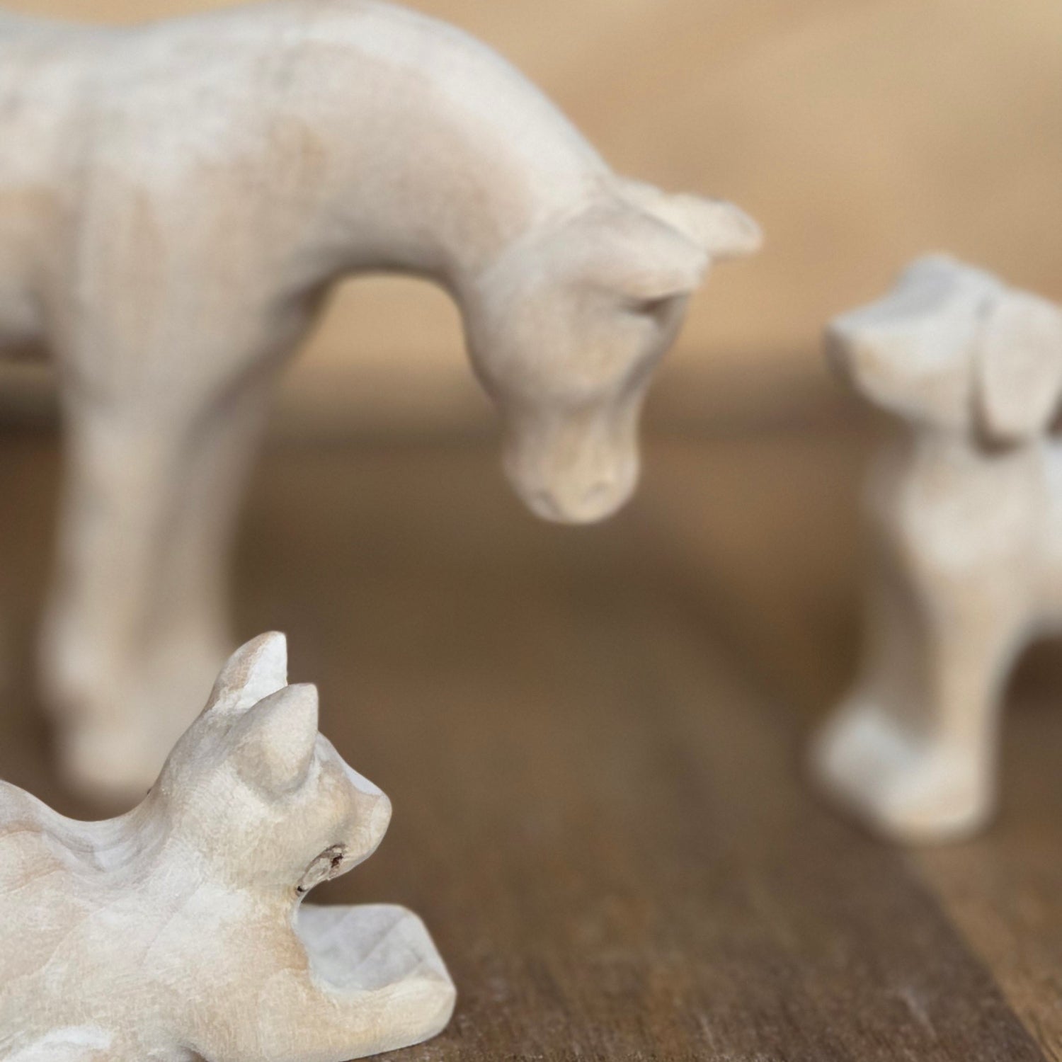 Feinschleifkurs "Hund" inkl. Rohling Samstag 18.04.2026 19:00 Uhr Zoom