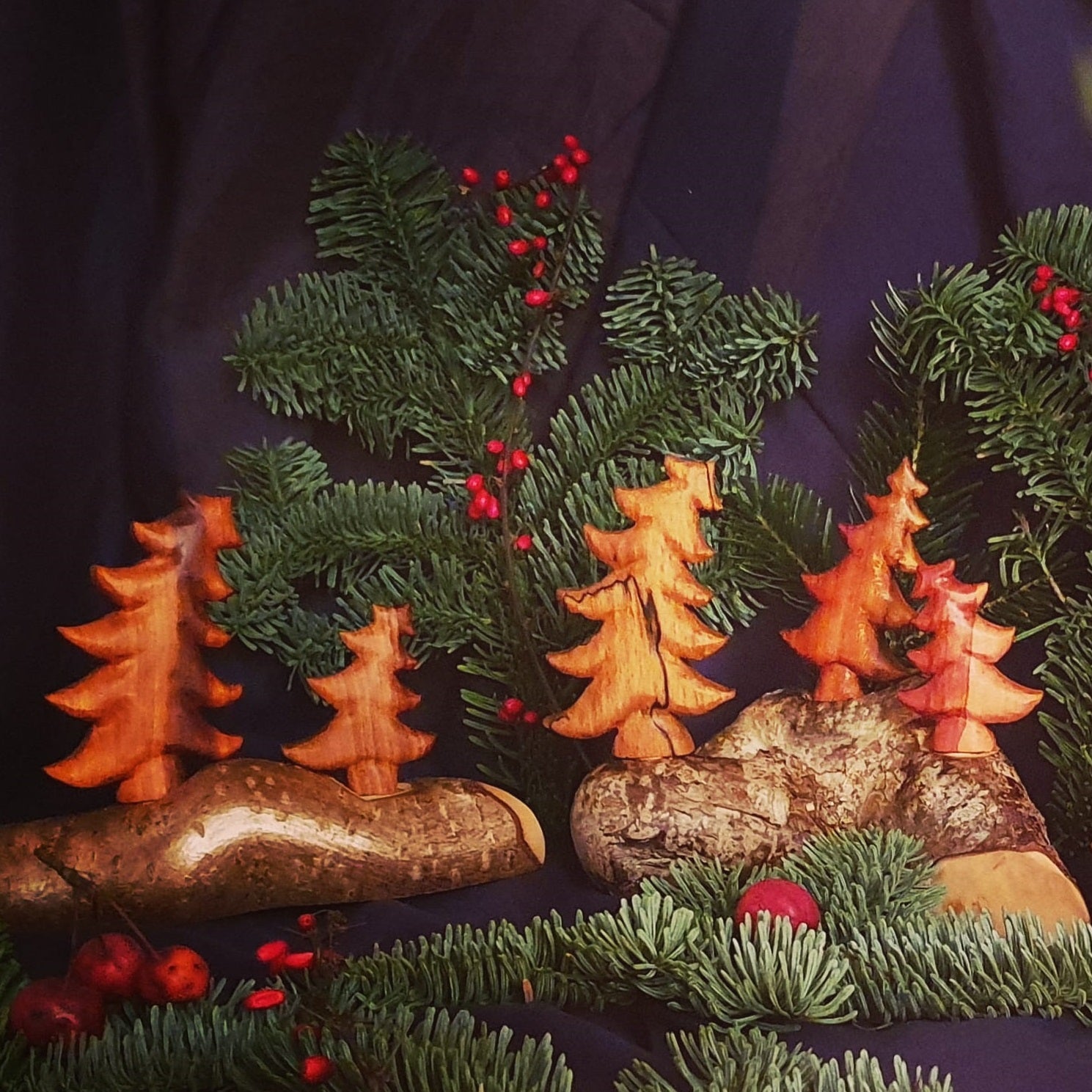 Bäume und Tannen geölt